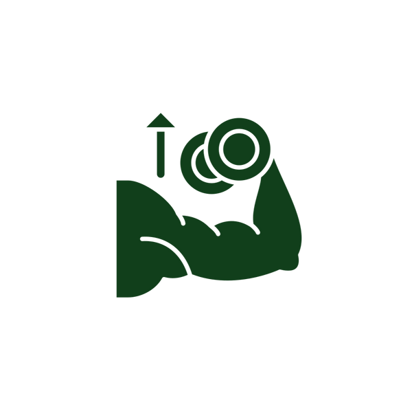 Muscle Gain Plan